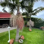 Casa Dos Avos * Calheta (Madeira)