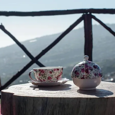 Vakantiehuis Casa Dos Avos *