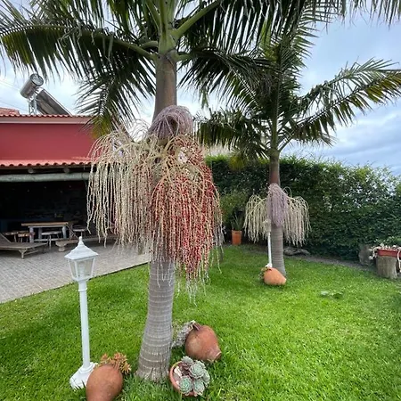 Casa Dos Avos * Calheta