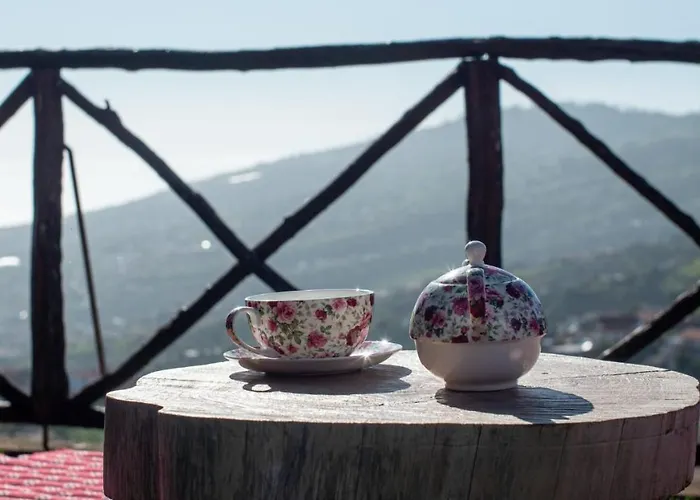 Hébergement de vacances Casa Dos Avos *