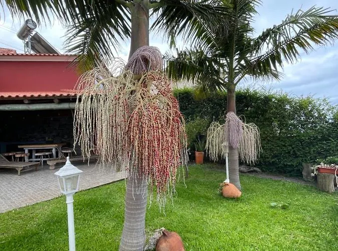 Casa Dos Avos * Calheta (Madeira)