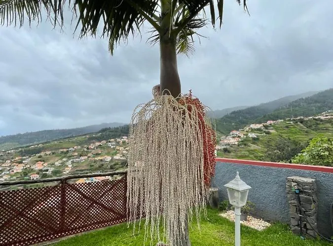 Casa Dos Avos Casa de Férias *